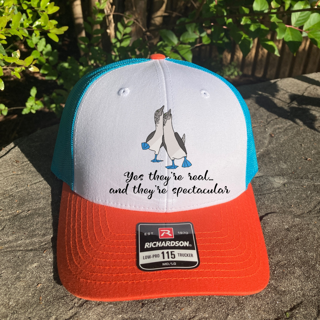 blue footed booby richardson 115 hat